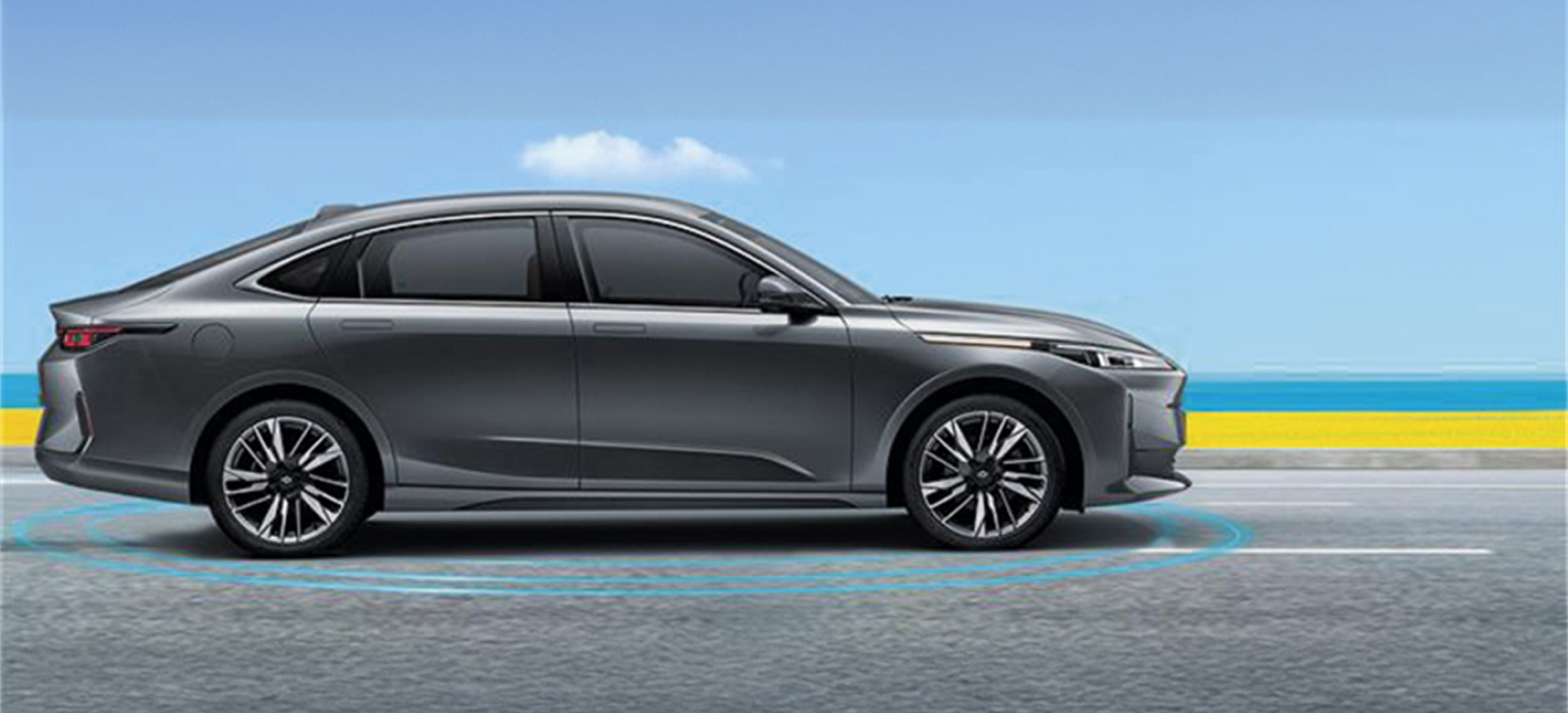 Eado Plus IDD